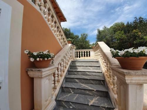 Villa Ca�n Roser