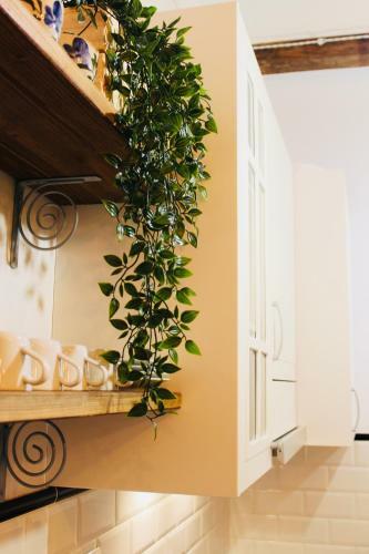 Apartamento Bonito Loft En L'ampolla