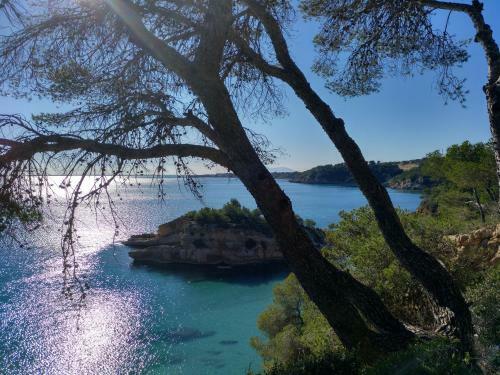 Apartamento Estupendo Piso En L'ampolla