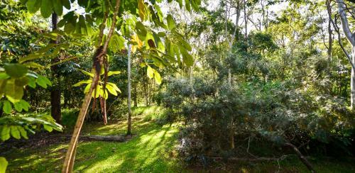 Bushland Cottages And Lodge