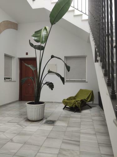 Charming Apartment