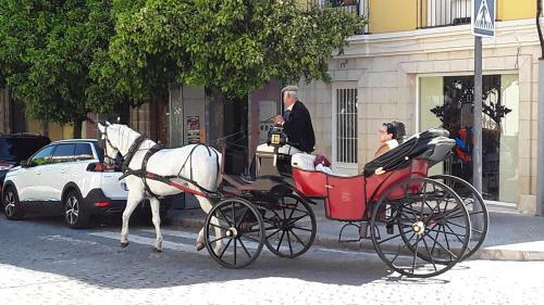 Apartamento Sherryflat Fate