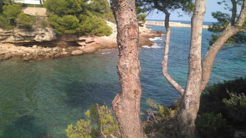 Apartamento Mi Morena Cala Llobeta 35