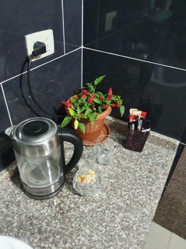 Apartamento Odibat Studioes
