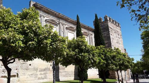Apartamento Sherryflat Plaza Del Arenal