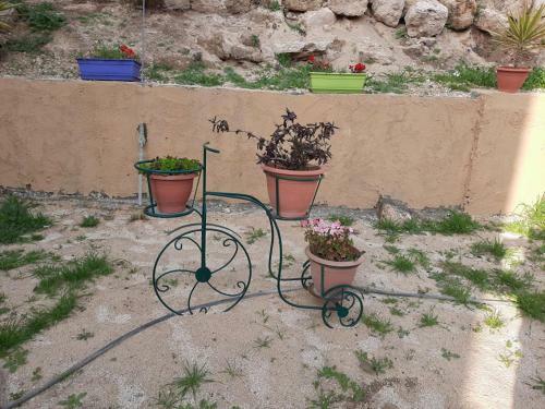 Apartamento Roman Pool (madaba)