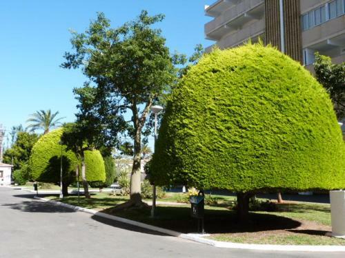 Apartamento Casa Crystal