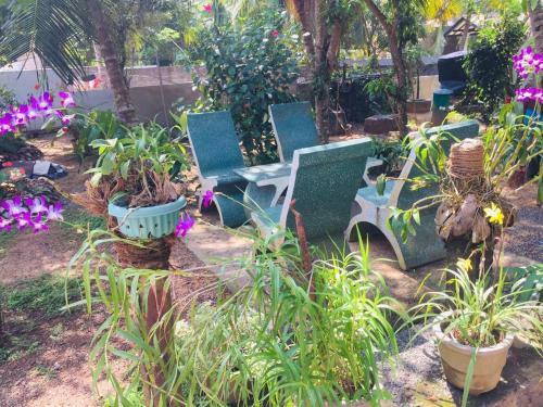 Bed & Breakfast Room One Dadalla