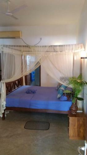 Hostal Dream Cabana