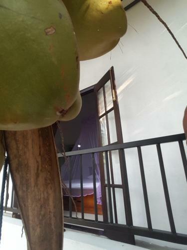 Agroturismo Coco Rooms