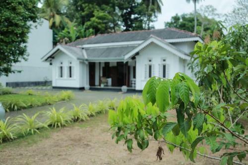 Villa Green View-galle