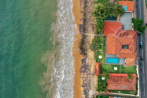 Hotel Ivy Beach Resort