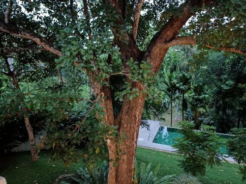 Bed & Breakfast Baheda House