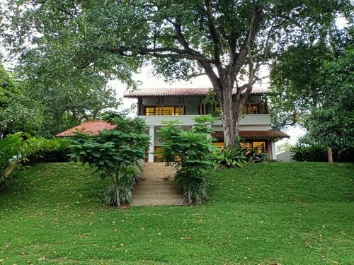 Bed & Breakfast Baheda House