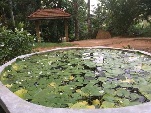 Kandegedara Villa