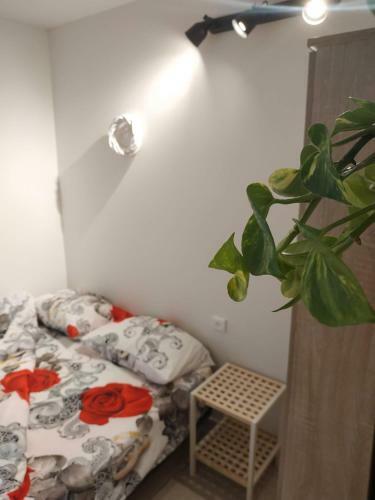 Apartamento The-home-away-from-home