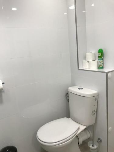 Vacation Apartment