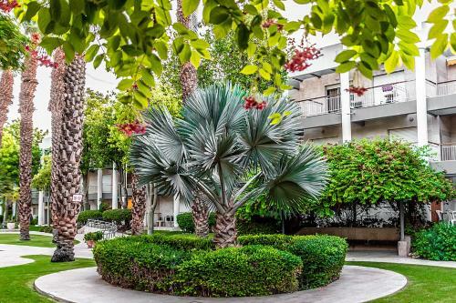 Apartamento ???? ?? ???? ?????? - Pool Garden View