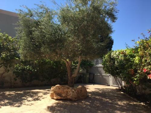 Villa Loft With Pool 20m Length Heated , 300m From Sea
