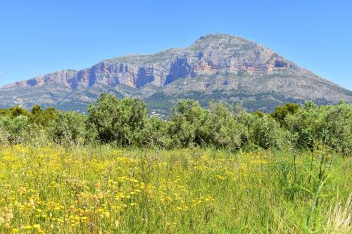 Apartamento Estrasburgo Suites Javea - 5044