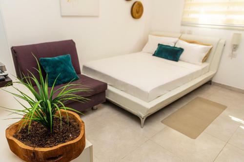 Apartamento ?????? 10 Studio
