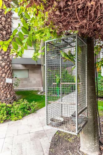 Apartamento Garden Suite & Pool