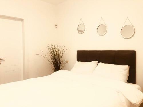 Sea Suite