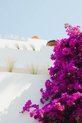 Hotel Ritual De Terra & Spa