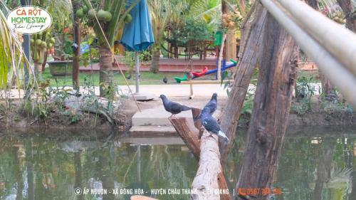Lodge Carot Homestay Ti?n Giang