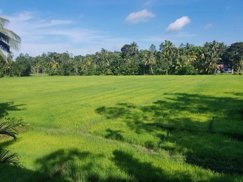 Villa Field View