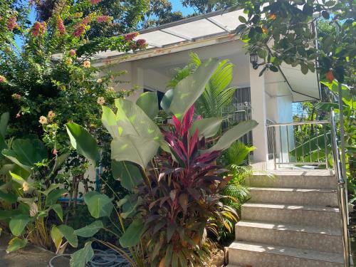 Apartamento Yodaor@samui