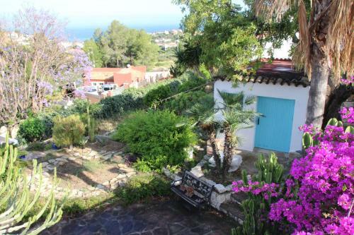 Barlovento