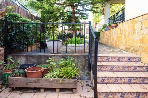 The Orange Lemon Tree House