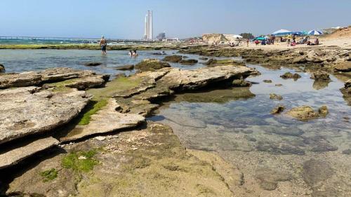 Hostal Mediterranean Inn Gavish ??? ??? ?????? ????