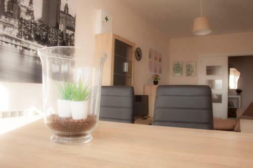 Apartamento Nuevo Con Encanto