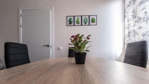 Apartamento Nuevo Con Encanto