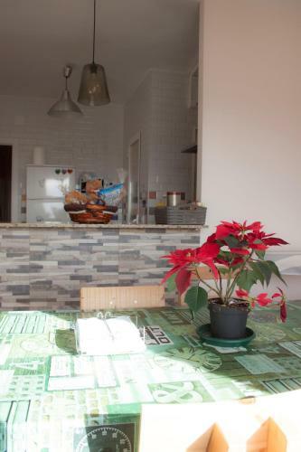 Apartamento Nuevo Con Encanto