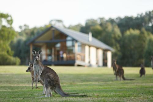 Aparthotel Yering Gorge Cottages