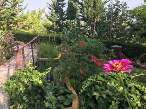 Agroturismo Caba�as de Madera Y Bungalows - Gilma�as 3