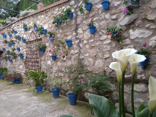 Apartamento Cortijo de Las Flores Cazorla