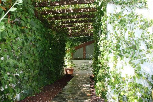 Casa Del Mediterr�neo