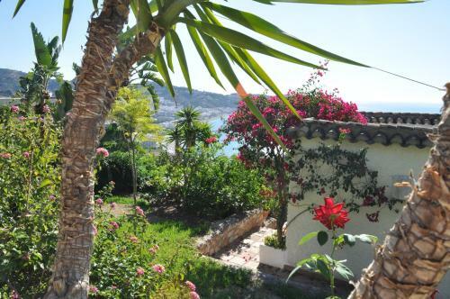Casa Hortensia