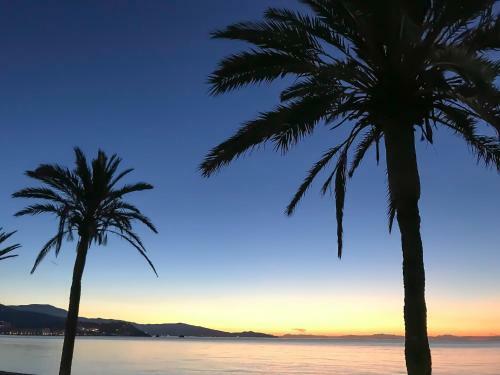 Apartamento Harbour Hideaway