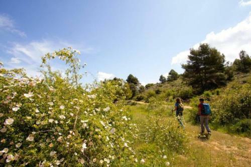 Villa Tere - Close To Everywhere