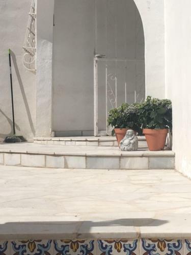 Casa Panoramica