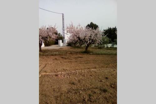 El Maset Blanch