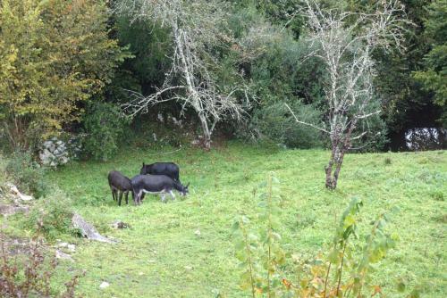 Villa Country House In La Pereda (Llanes)