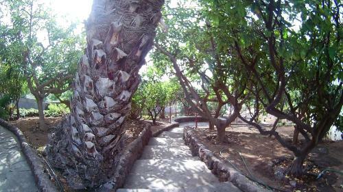 Villa Necho