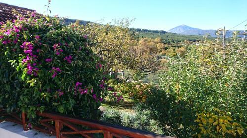 Agroturismo El Pajar de In�s