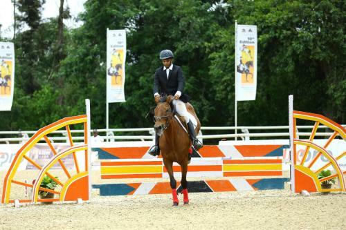Kings Farm Horse Riding School